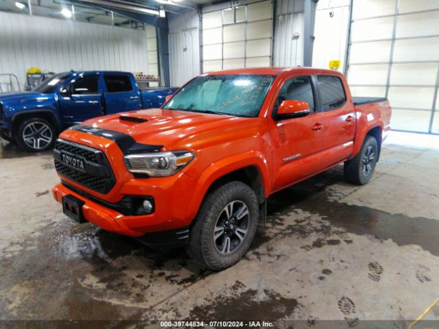 3TMCZ5AN1GM011171 Toyota Tacoma