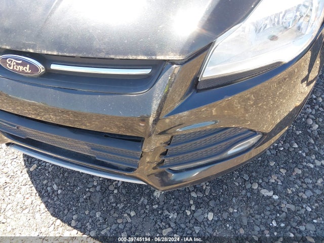 Ford ESCAPE SE 2014 1FMCU9G93EUE01385 Image 6