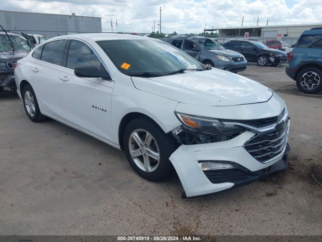 2019 CHEVROLET MALIBU 1G1ZB5ST5KF223956