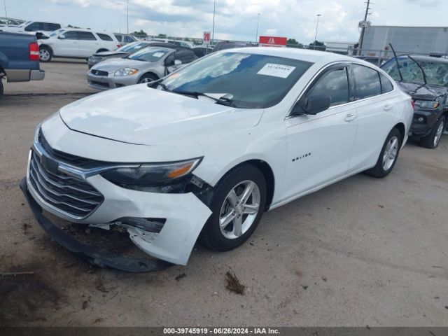 2019 CHEVROLET MALIBU 1G1ZB5ST5KF223956 Photo 1