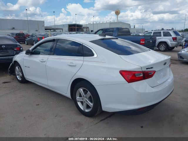 2019 CHEVROLET MALIBU 1G1ZB5ST5KF223956 Photo 2