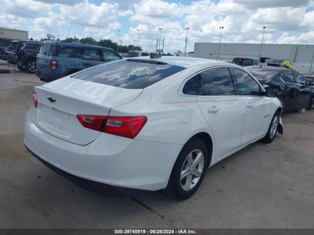 2019 CHEVROLET MALIBU 1G1ZB5ST5KF223956 Photo 3