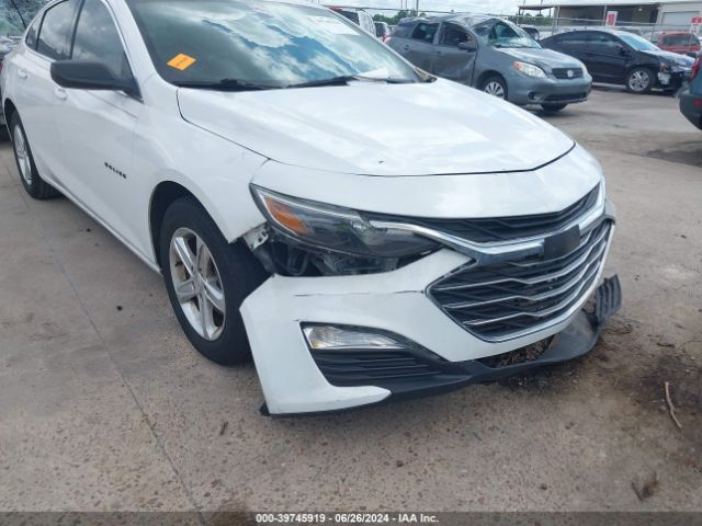 2019 CHEVROLET MALIBU 1G1ZB5ST5KF223956 Photo 5