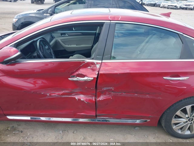 Hyundai Sonata Sport 2016 5NPE34AF9GH429402 Image 6
