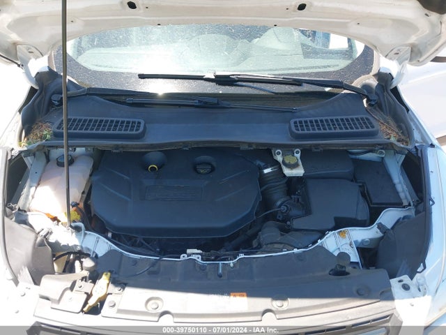 Ford ESCAPE SE 2016 1FMCU9G94GUA30983 Image 10