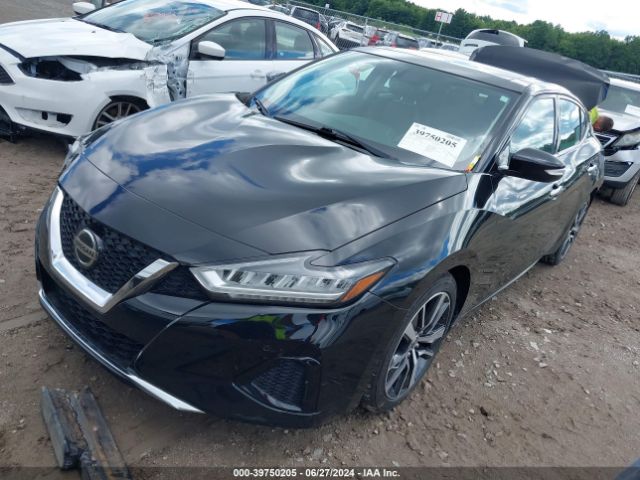 1N4AA6AV0KC381094 Nissan Maxima 3.5 Sl