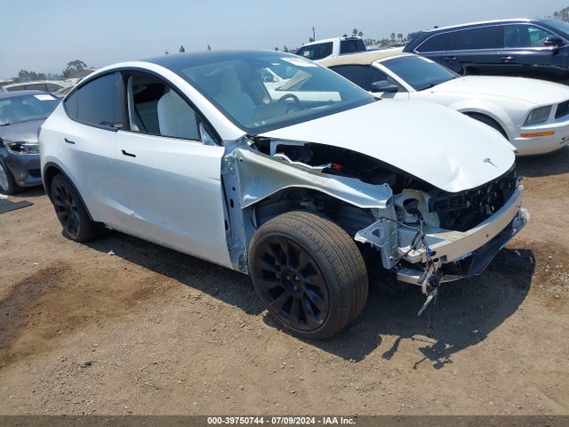 2021 TESLA MODEL Y 5YJYGAEE8MF300644 Photo 0