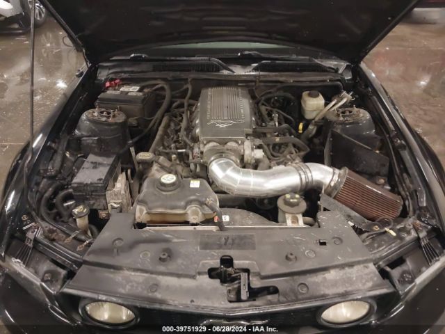 2008 FORD MUSTANG 1ZVHT82H385175589 Photo 9
