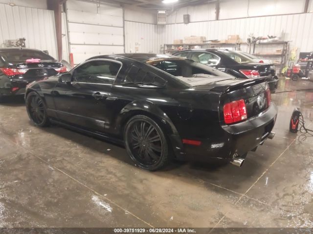 2008 FORD MUSTANG 1ZVHT82H385175589 Photo 2