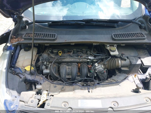 Ford ESCAPE SE 2016 1FMCU0G72GUA35173 Image 10