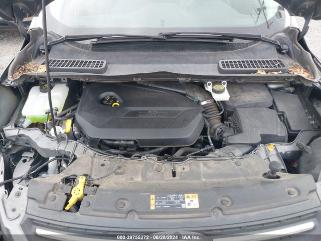 Ford ESCAPE SE 2014 1FMCU0GX8EUE06320 Image 10
