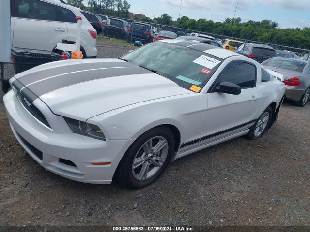 Ford Mustang V6 2014 1ZVBP8AM2E5262291 Image 2