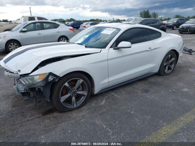 1FA6P8AM8F5311960 Ford Mustang V6