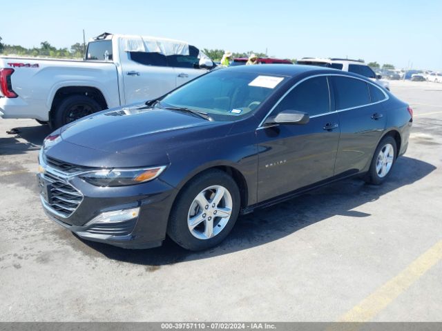 1G1ZB5ST3PF244294 Chevrolet Malibu Fwd Ls