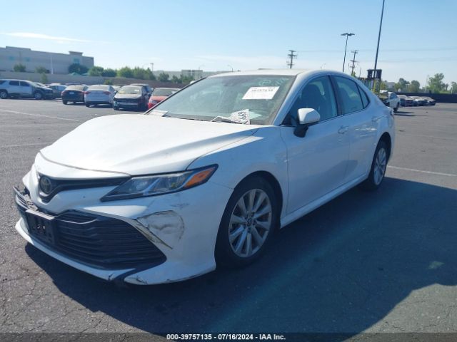 4T1C11AK4LU504317 Toyota CAMRY LE