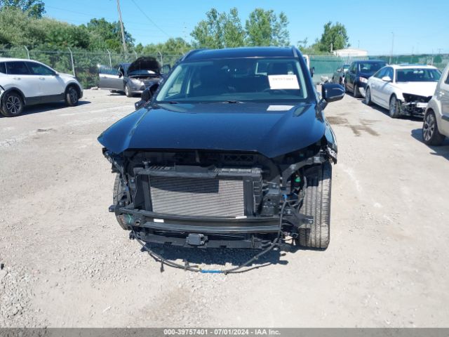 KM8R4DHEXLU102272 Hyundai Palisade Sel