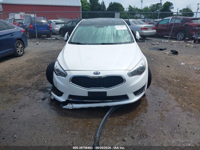 KIA Cadenza Limited 2014 KNALN4D7XE5143378 Image 13