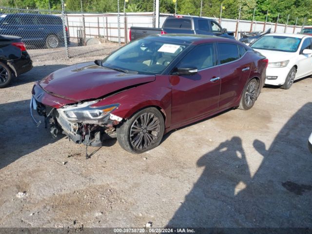 1N4AA6AP0GC402812 Nissan Maxima 3.5 Platinum