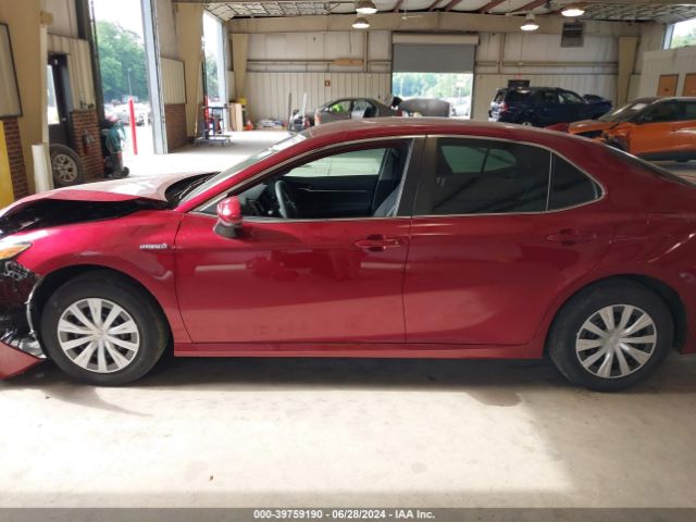 4T1C31AK3MU558526 Toyota Camry Le Hybrid