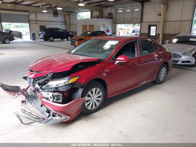 4T1C31AK3MU558526 Toyota Camry Le Hybrid