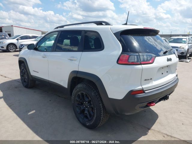 1C4PJMBXXLD563261 Jeep Cherokee Trailhawk 4x4