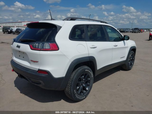 1C4PJMBXXLD563261 Jeep Cherokee Trailhawk 4x4