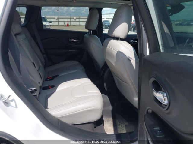 1C4PJMBXXLD563261 Jeep Cherokee Trailhawk 4x4