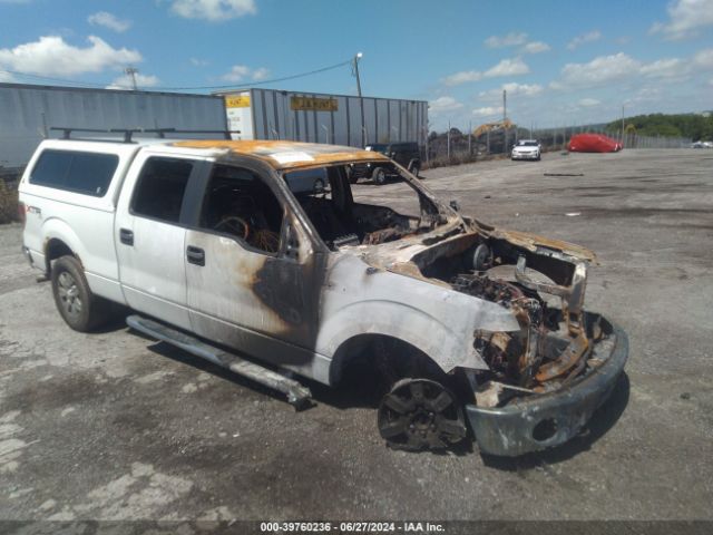 1FTFW1EF9EKG26248 Ford F-150 Xlt