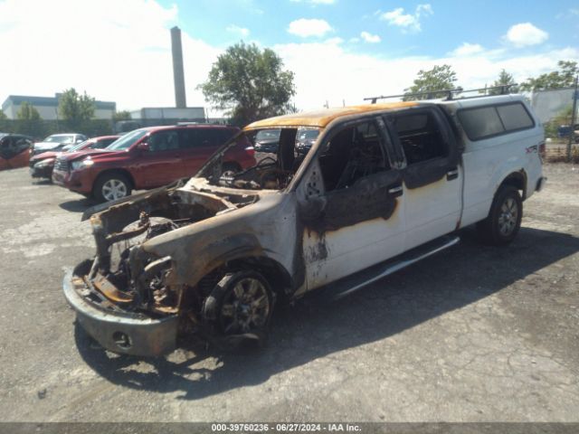 1FTFW1EF9EKG26248 Ford F-150 Xlt