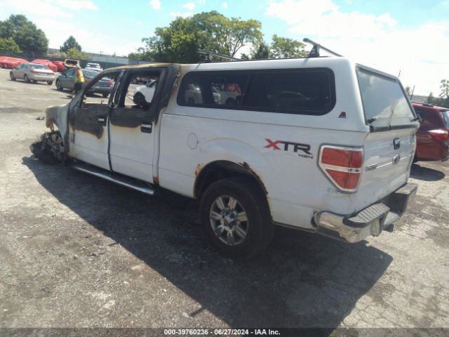 1FTFW1EF9EKG26248 Ford F-150 Xlt