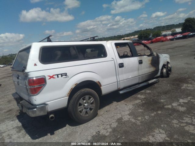1FTFW1EF9EKG26248 Ford F-150 Xlt