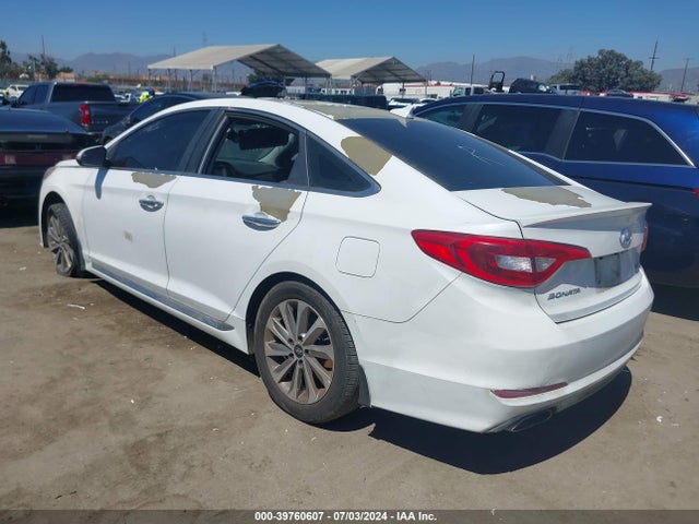 Hyundai Sonata Sport 2017 5NPE34AF8HH496137 Image 3