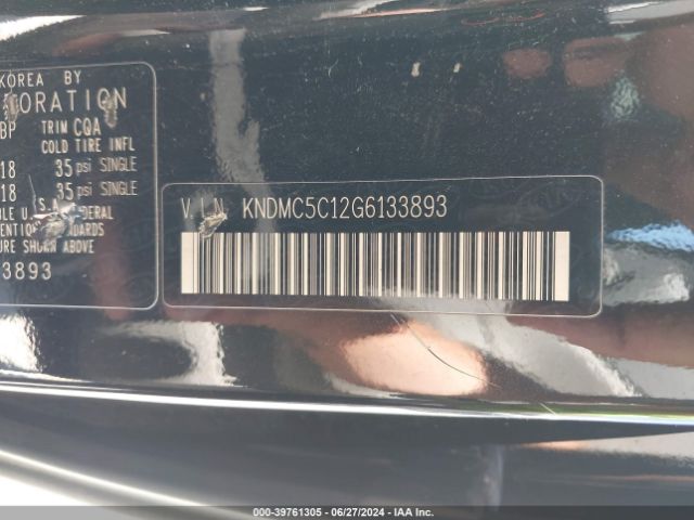 KNDMC5C12G6133893 KIA SEDONA EX