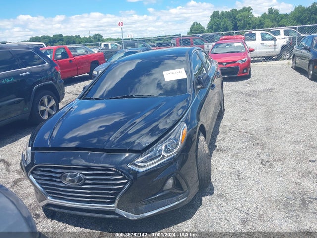 Hyundai SONATA ECO 2018 5NPE24AA1JH687704 Image 12