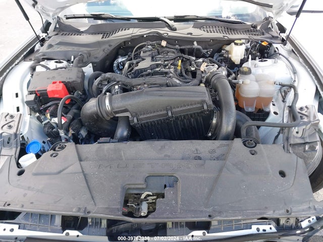 Ford Mustang Ecoboost Fastback 2024 1FA6P8TH7R5107350 Image 10