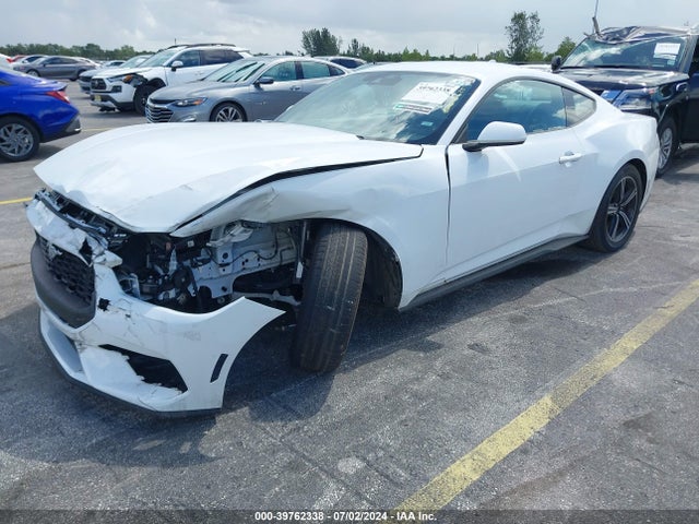 Ford Mustang Ecoboost Fastback 2024 1FA6P8TH7R5107350 Image 2