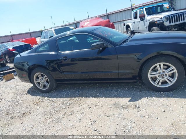 1ZVBP8AM7E5250122 Ford Mustang V6