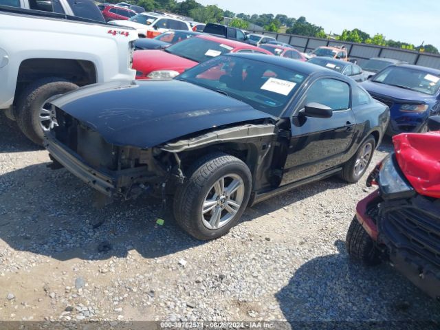 1ZVBP8AM7E5250122 Ford Mustang V6