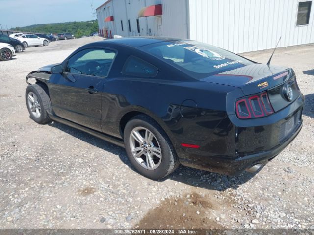 1ZVBP8AM7E5250122 Ford Mustang V6