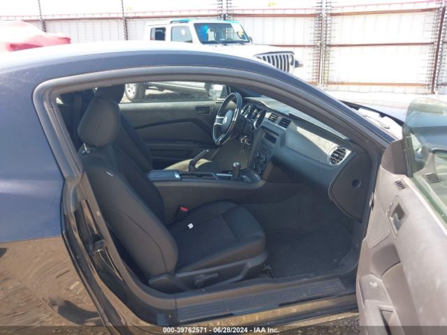 1ZVBP8AM7E5250122 Ford Mustang V6