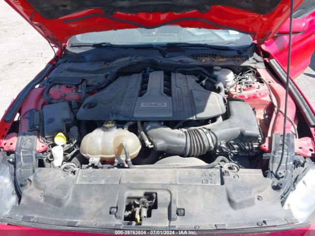 1FA6P8CF5K5186344 Ford Mustang Gt Premium