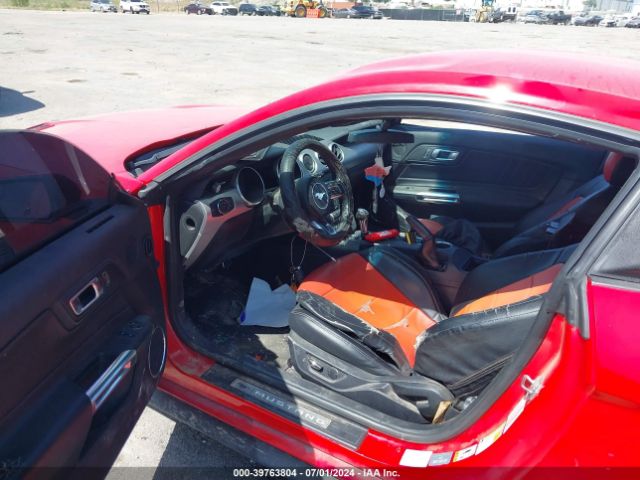 1FA6P8CF5K5186344 Ford Mustang Gt Premium