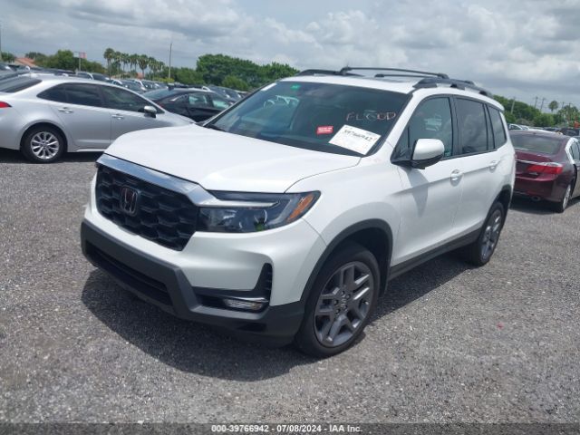 5FNYF8H59PB031484 Honda Passport Awd Ex-l