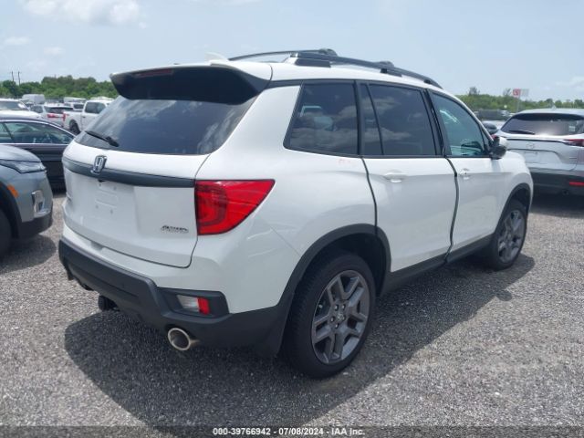 5FNYF8H59PB031484 Honda Passport Awd Ex-l