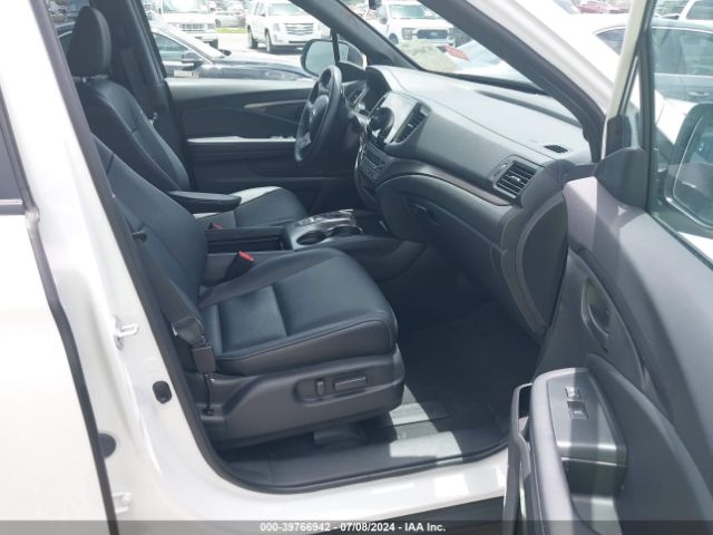 5FNYF8H59PB031484 Honda Passport Awd Ex-l