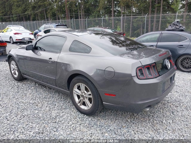 Ford Mustang V6 2014 1ZVBP8AM5E5272135 Image 3