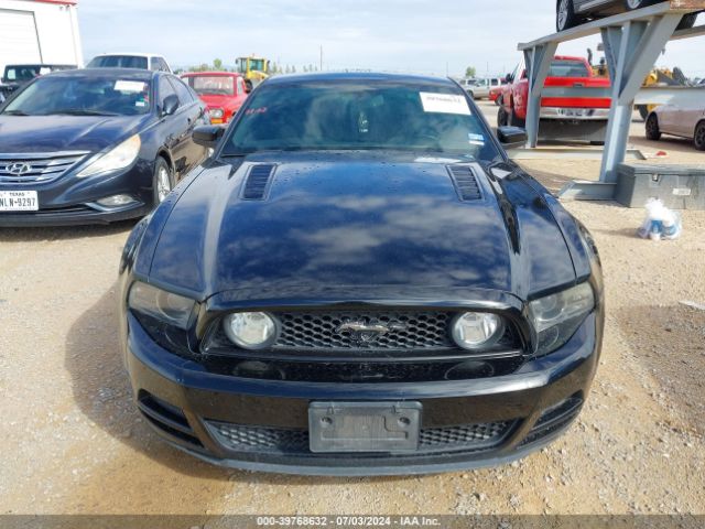 1ZVBP8CF9E5254610 Ford MUSTANG GT