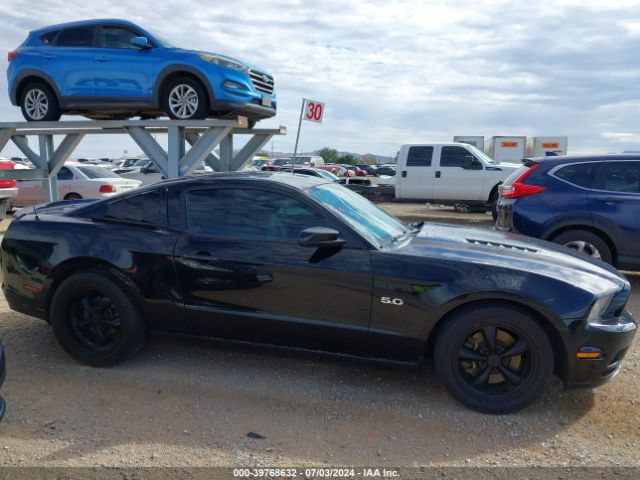 1ZVBP8CF9E5254610 Ford MUSTANG GT