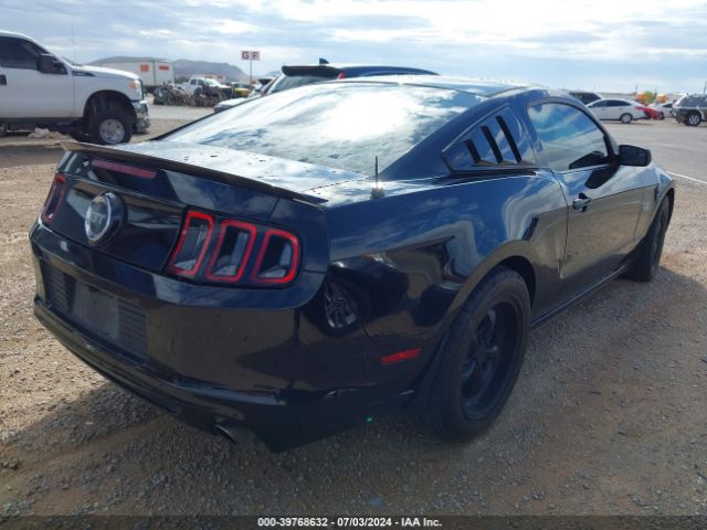 1ZVBP8CF9E5254610 Ford MUSTANG GT