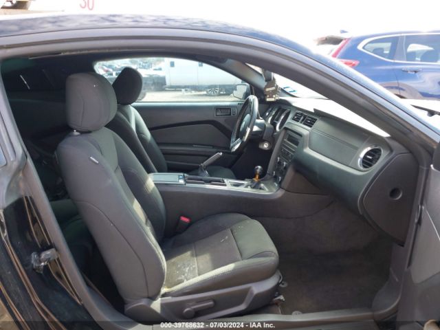 1ZVBP8CF9E5254610 Ford MUSTANG GT